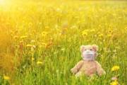 Teddy in der Wiese traumatisiert