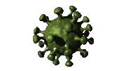 Virus [Bild]